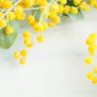 ごあいさつ